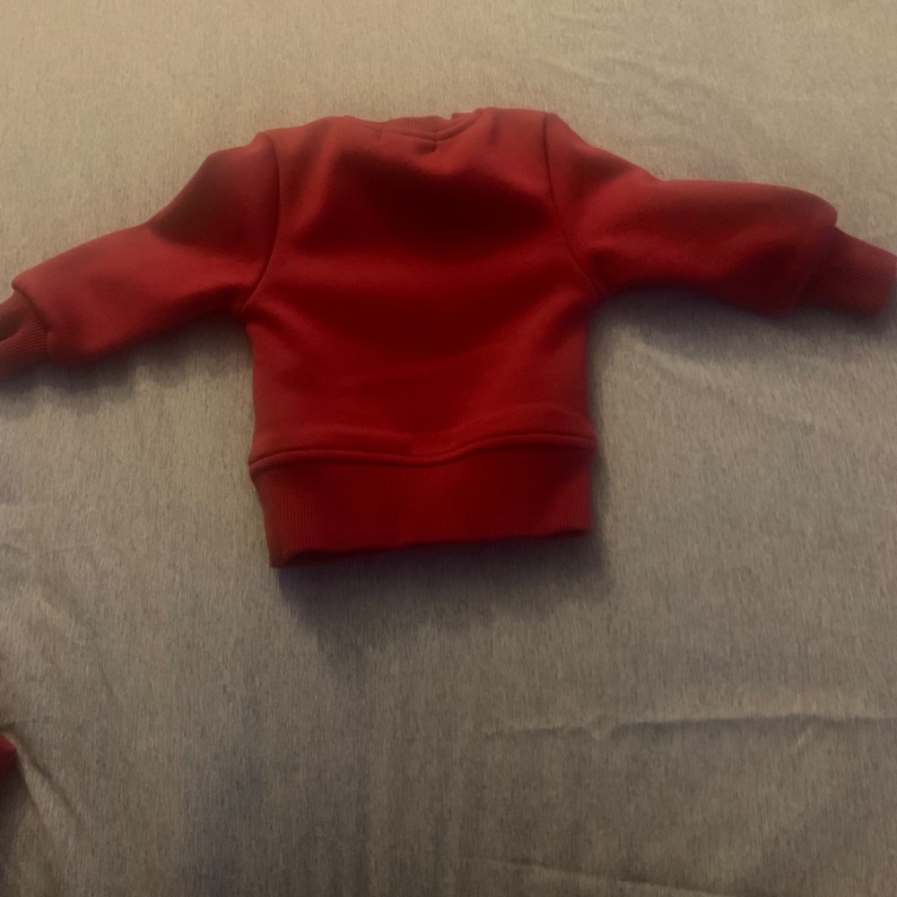 Sweatsuit - Picture 4 of 5